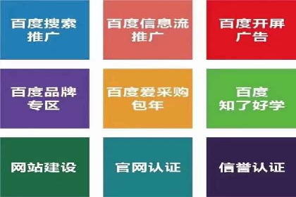 某电商平台的SEM广告投放策略及效果评估